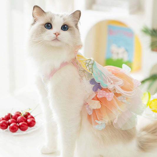 Fairy Cat Dress