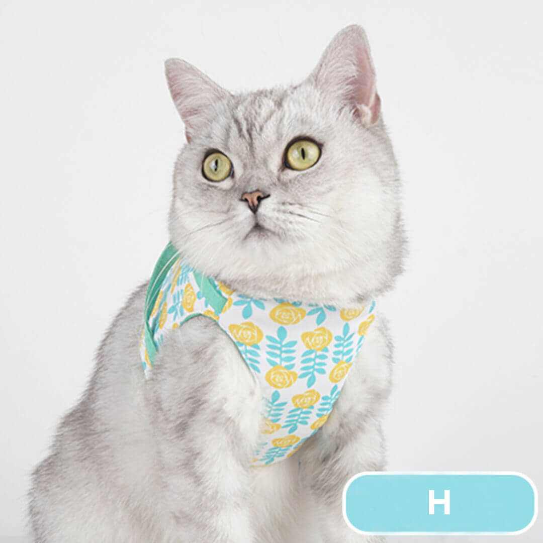 Fleur Cat Harness & Leash Set