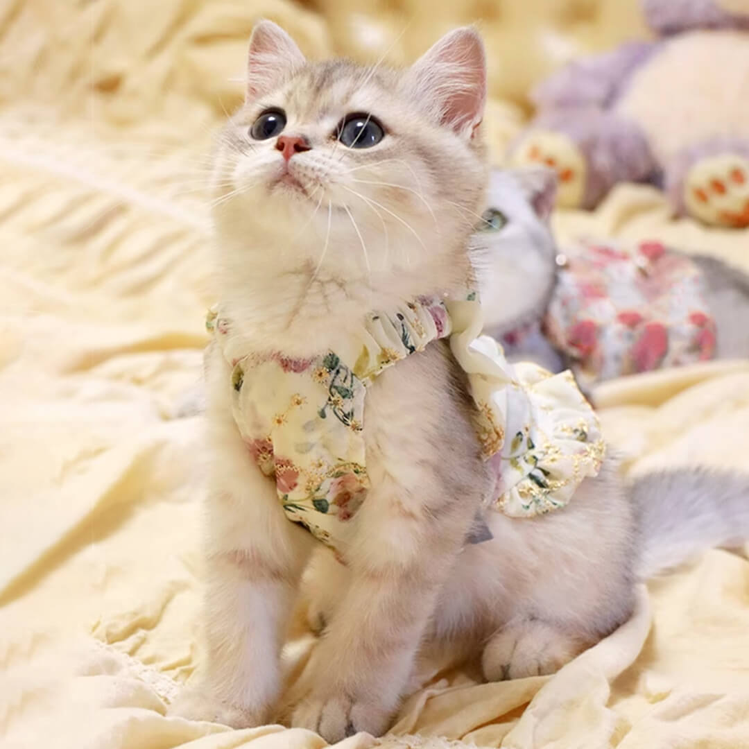 Flora Cat Dress