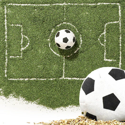 Soccer Ball Catnip Toy