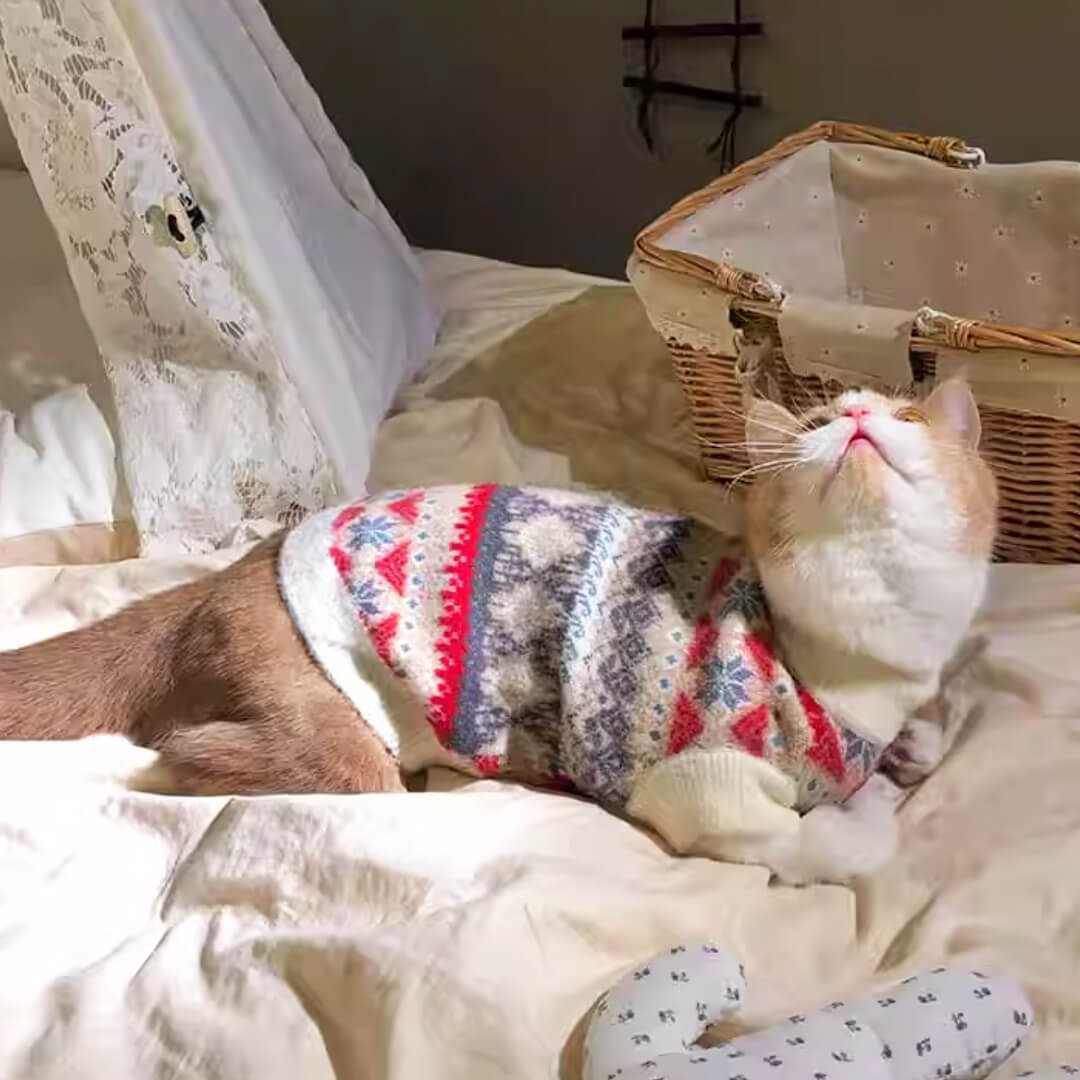 Frosty Cat Sweater