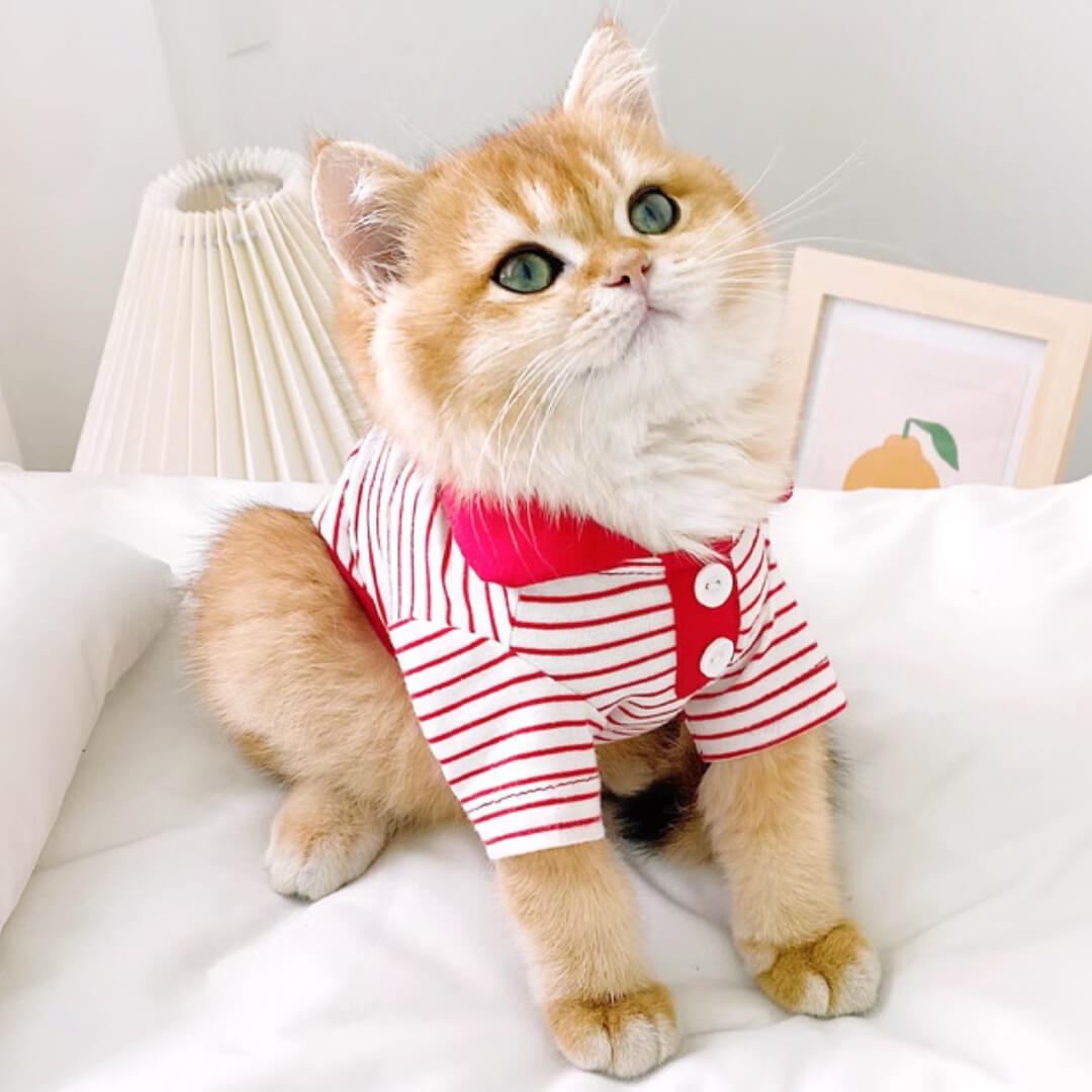 Gentlemeow Cat Polo Shirt