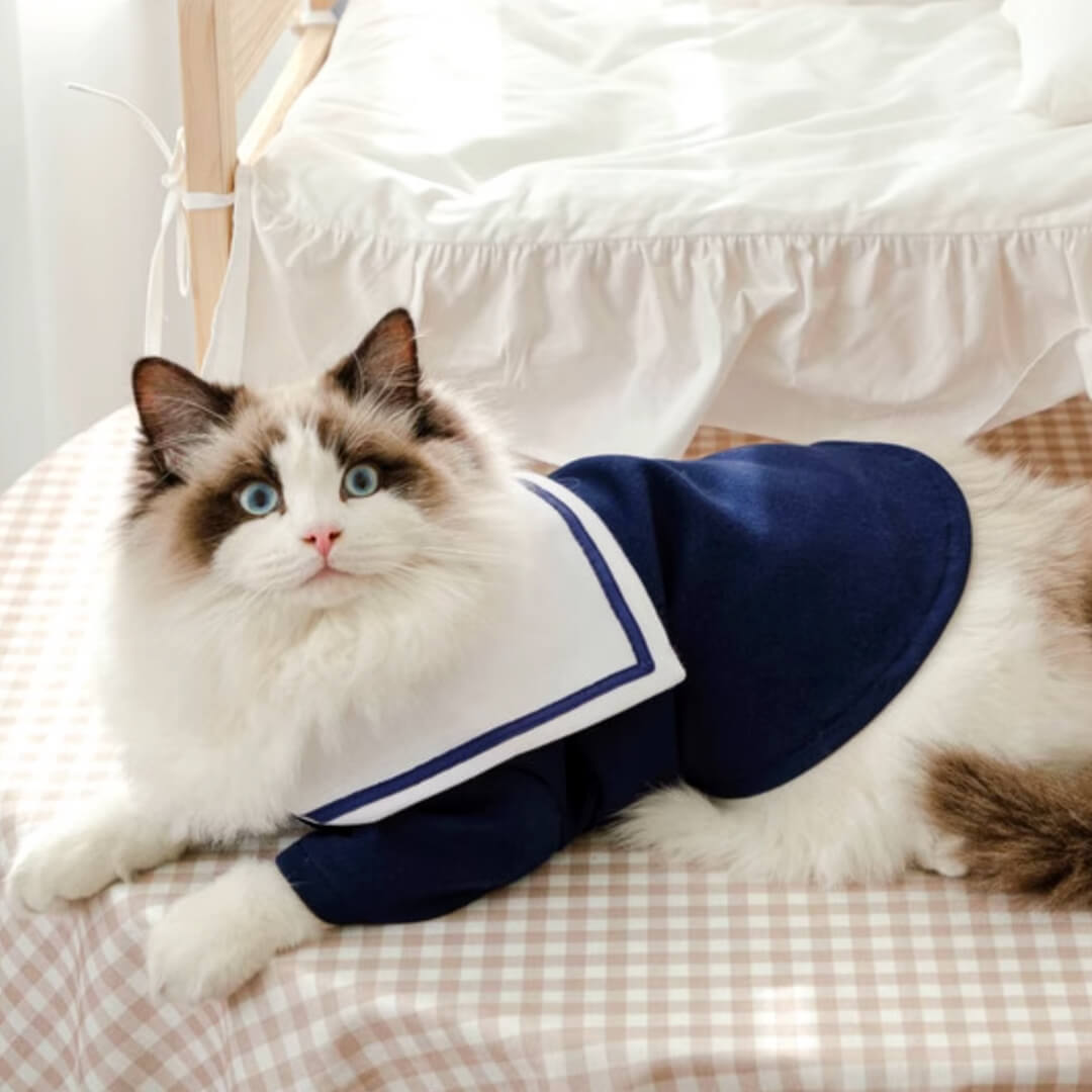 Hime Cat Shirt