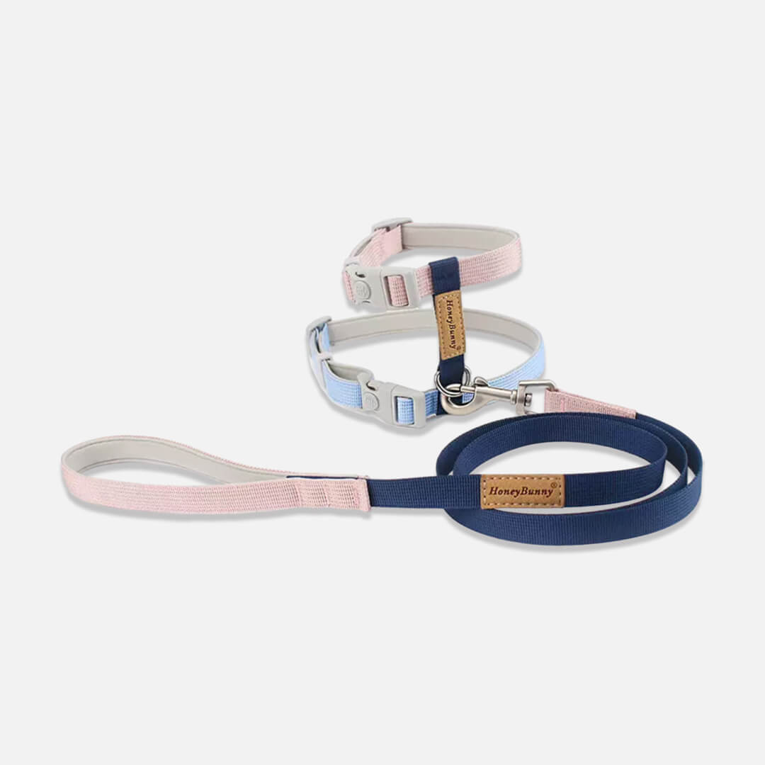 Honey Bunny Cat Harness & Leash Set