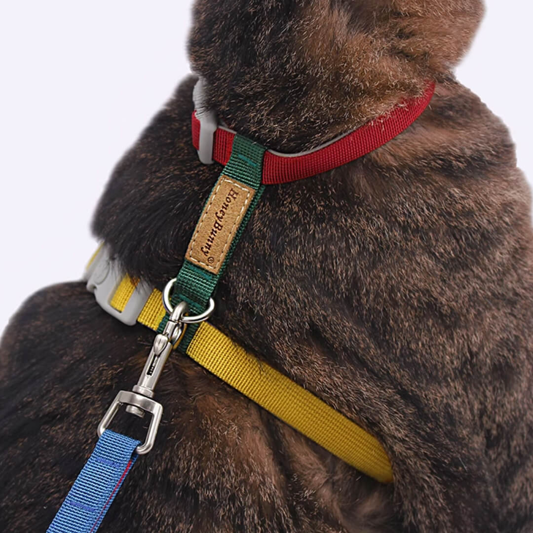 Honey Bunny Cat Harness & Leash Set