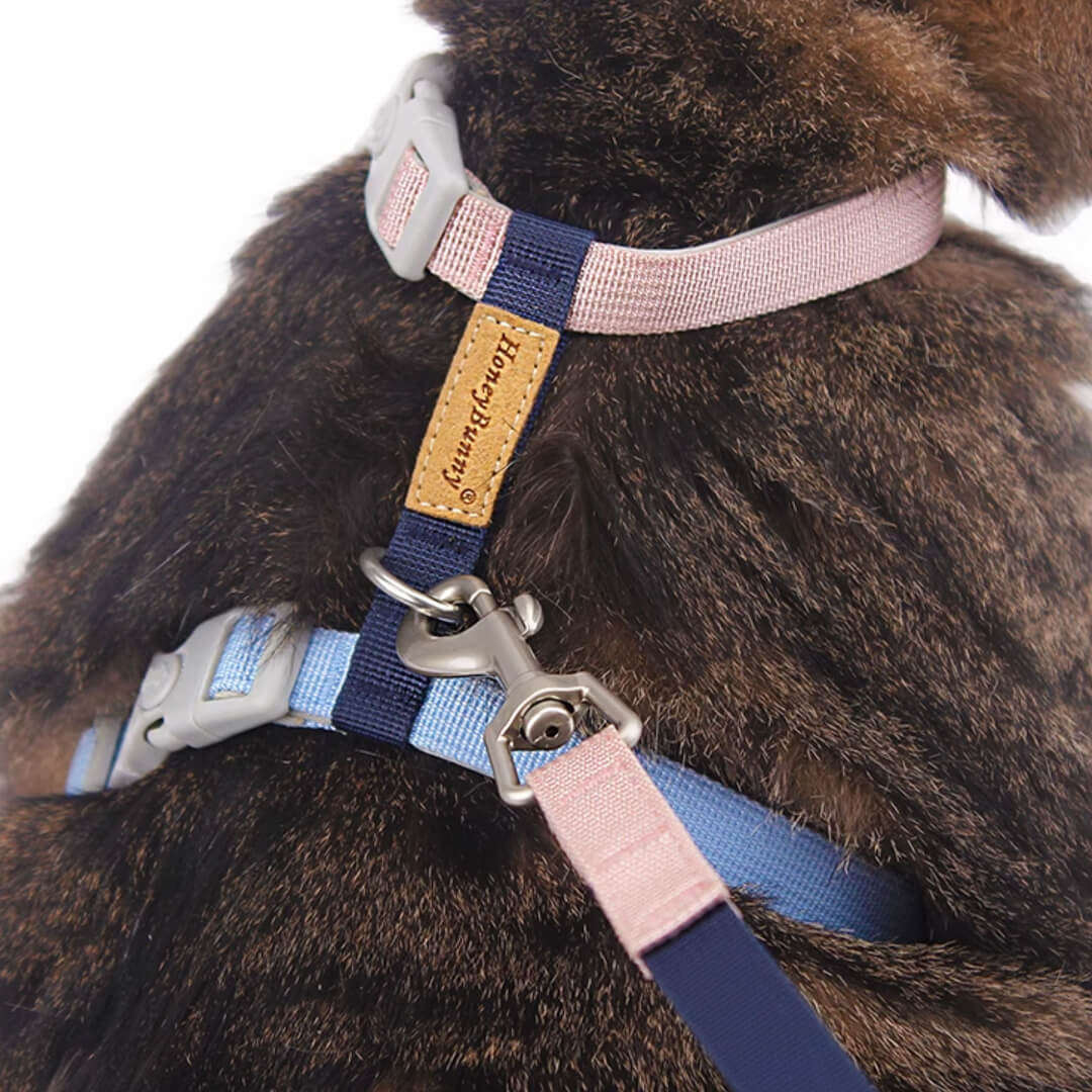 Honey Bunny Cat Harness & Leash Set
