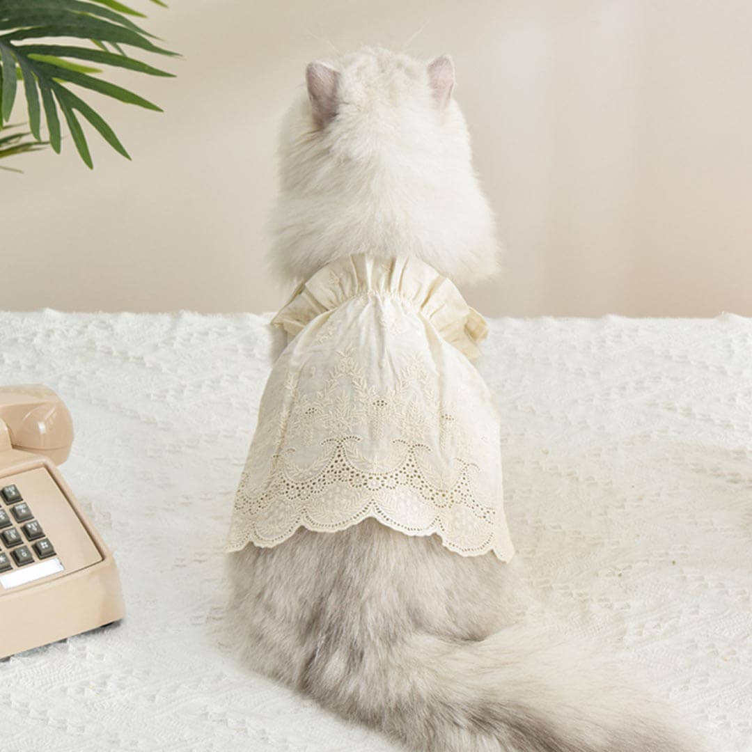 Jasmine Cat Dress