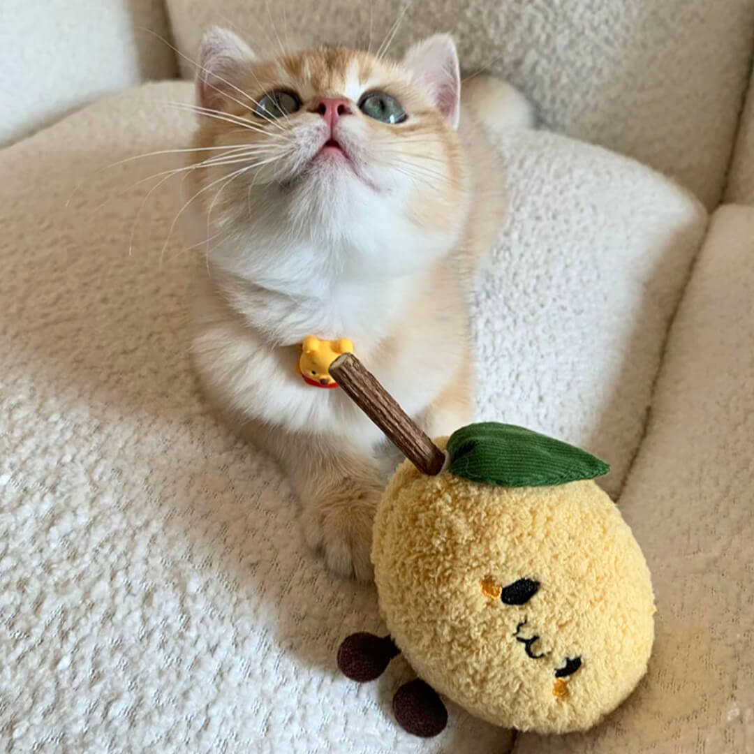 Lemon Silvervine Cat Chew Toy