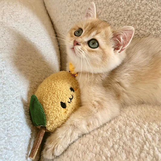 Lemon Silvervine Cat Chew Toy