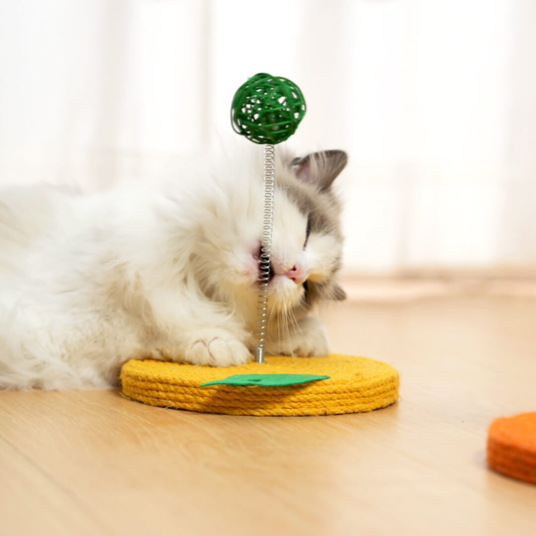 Lemon Sisal Scratcher with Rattan Spring Ball