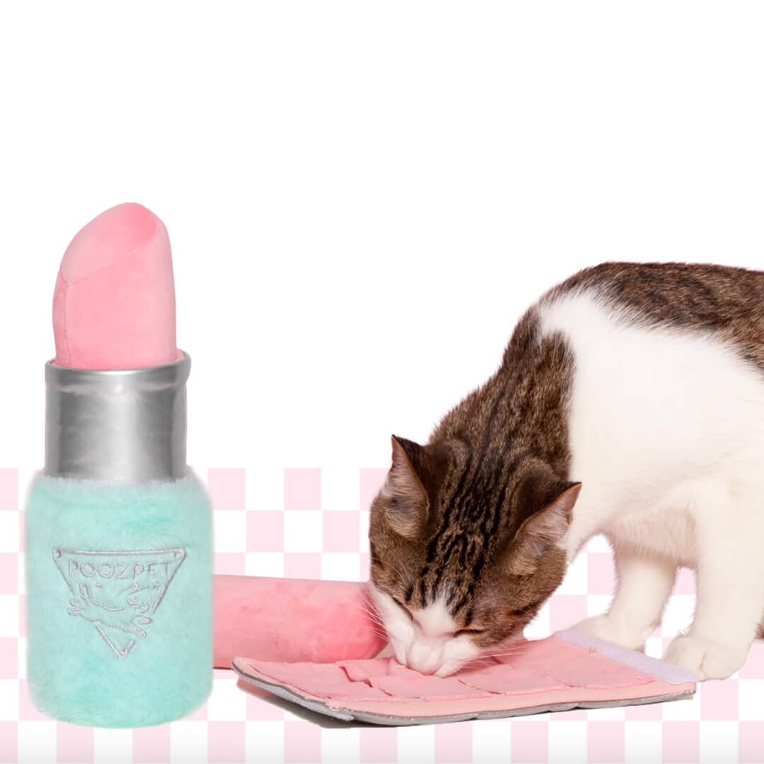 Lipstick Snuffle Toy