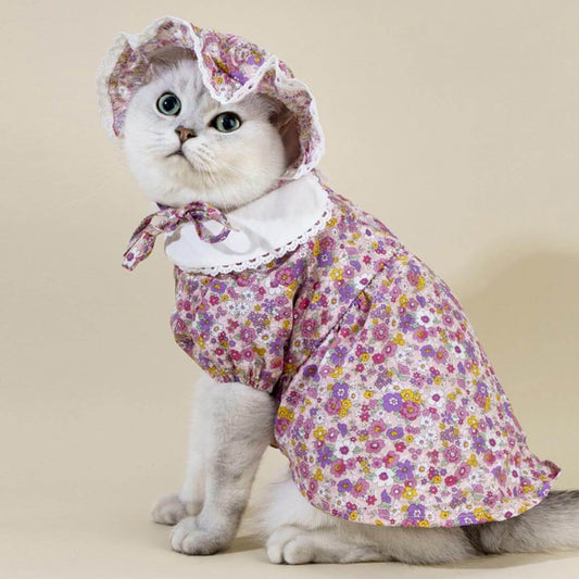 Little Princess Cat Dress & Hat Set