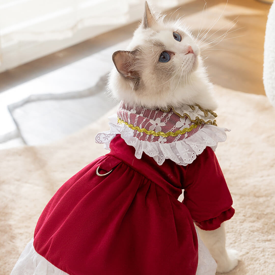 Little Princess Cat Dress