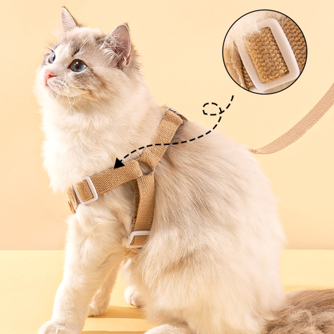 Lolly Cat Harness & Leash Set