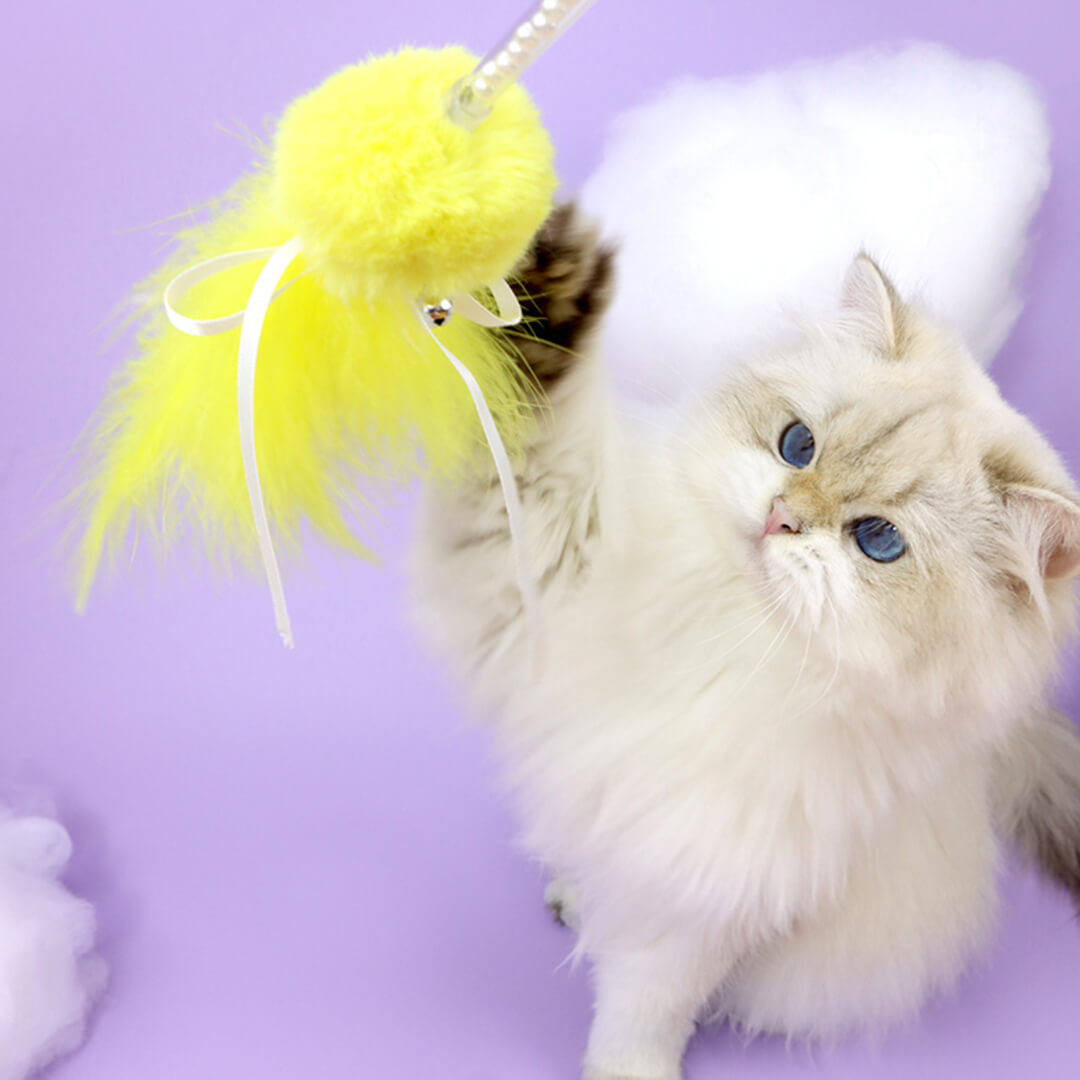Lucky Star and Feather Ribbon Cat Wand Toys
