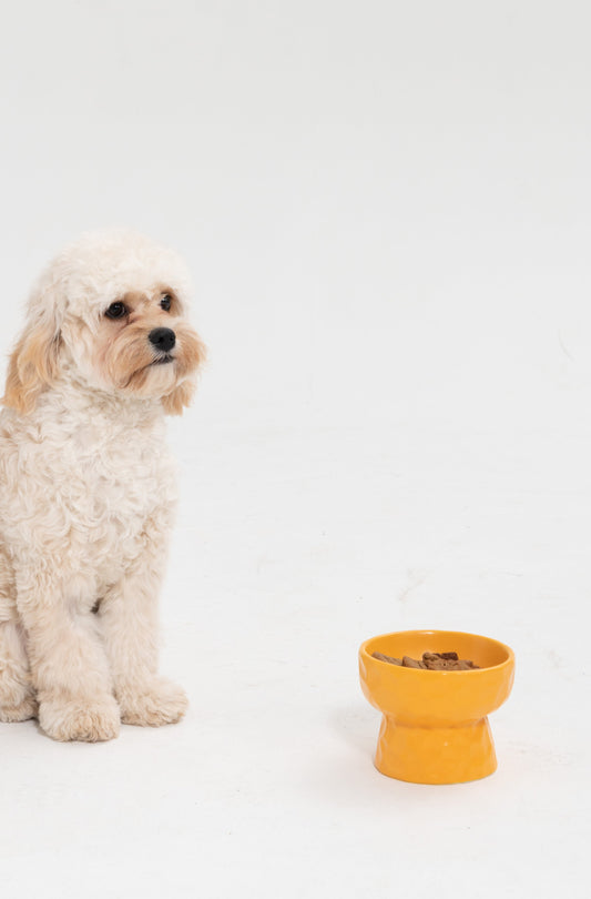 Nordic Pet Bowl