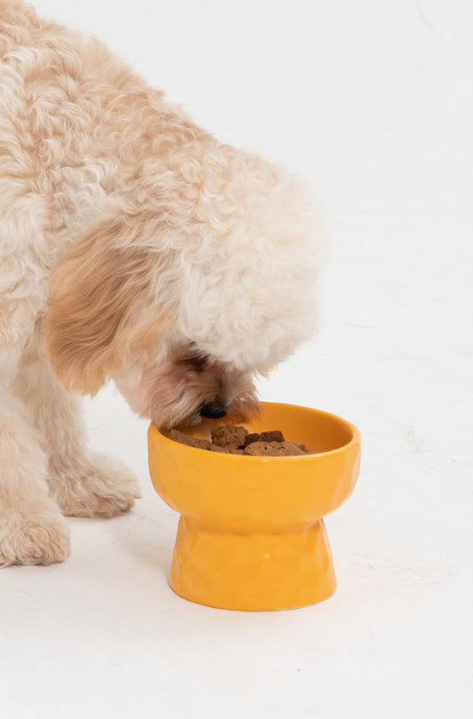 Nordic Pet Bowl