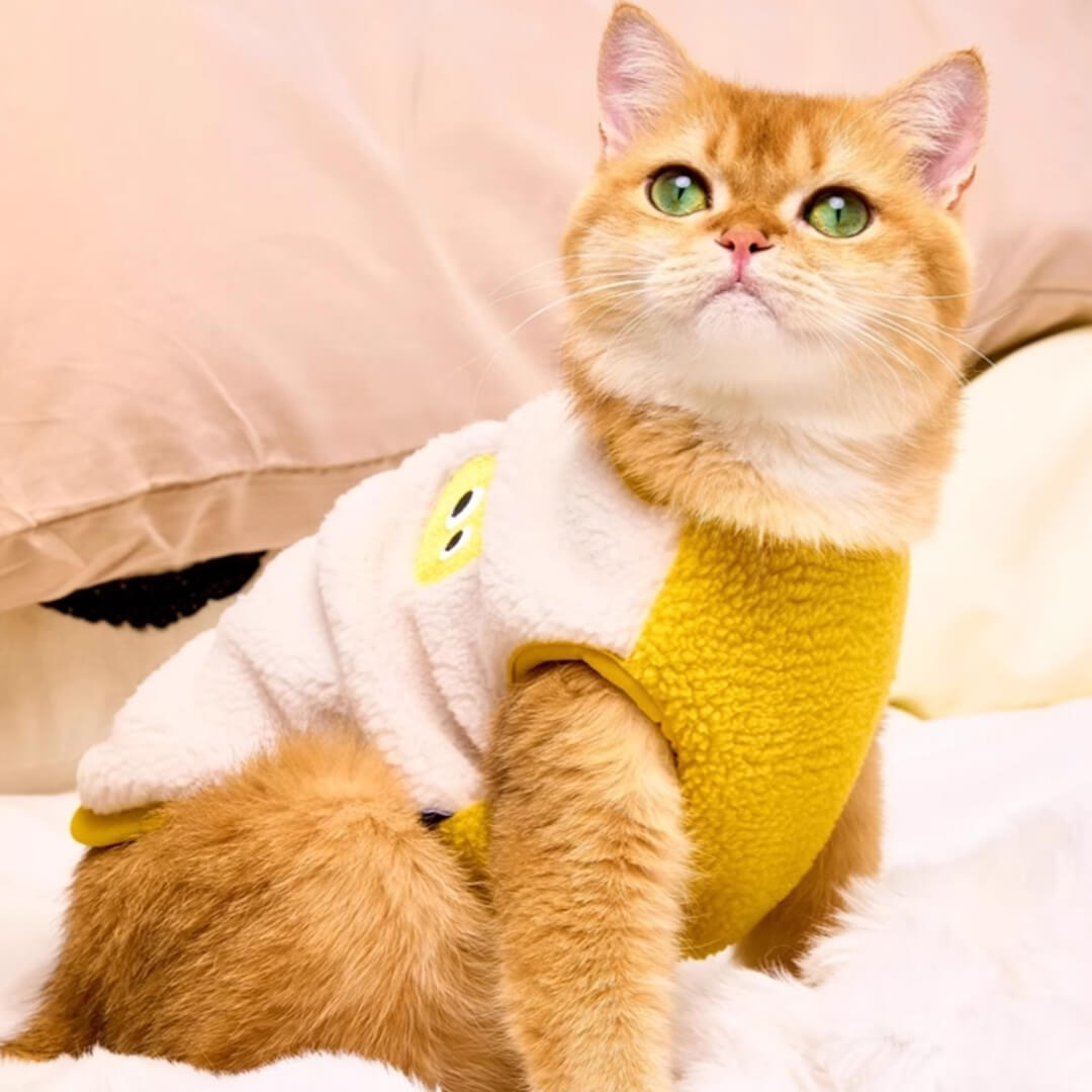 Meowster Cat Vest