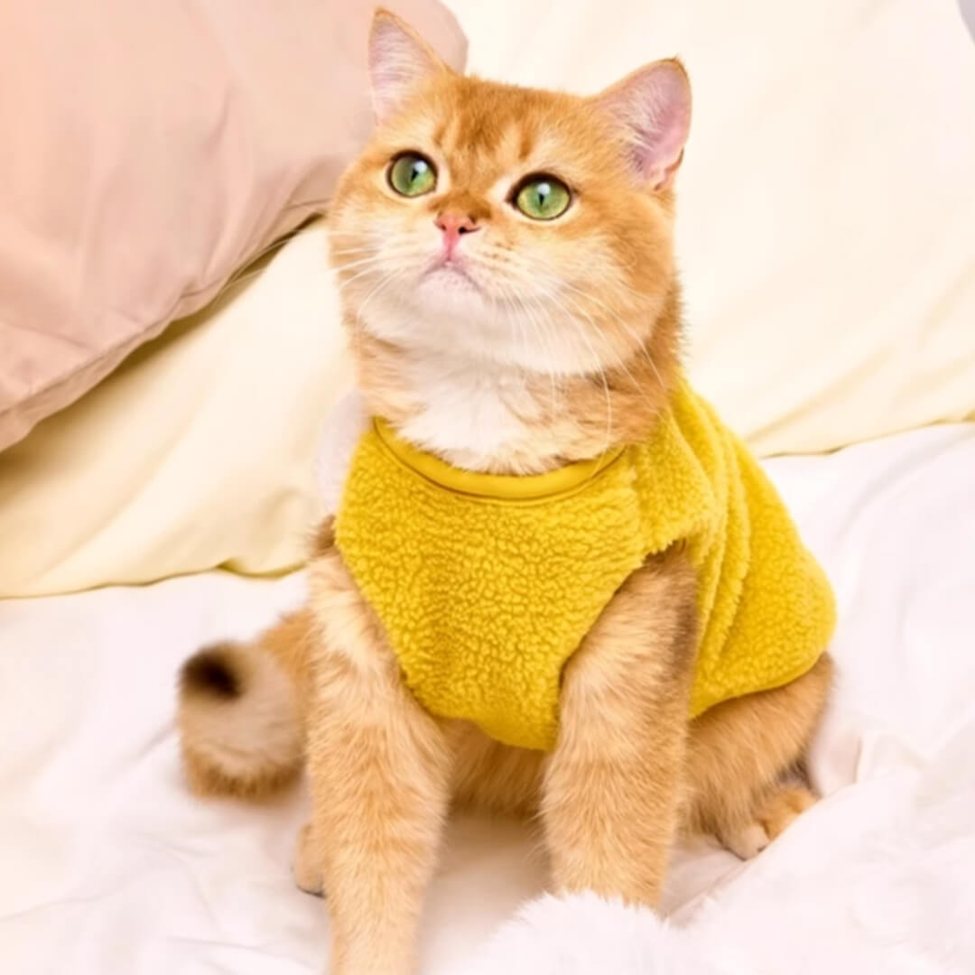 Meowster Cat Vest