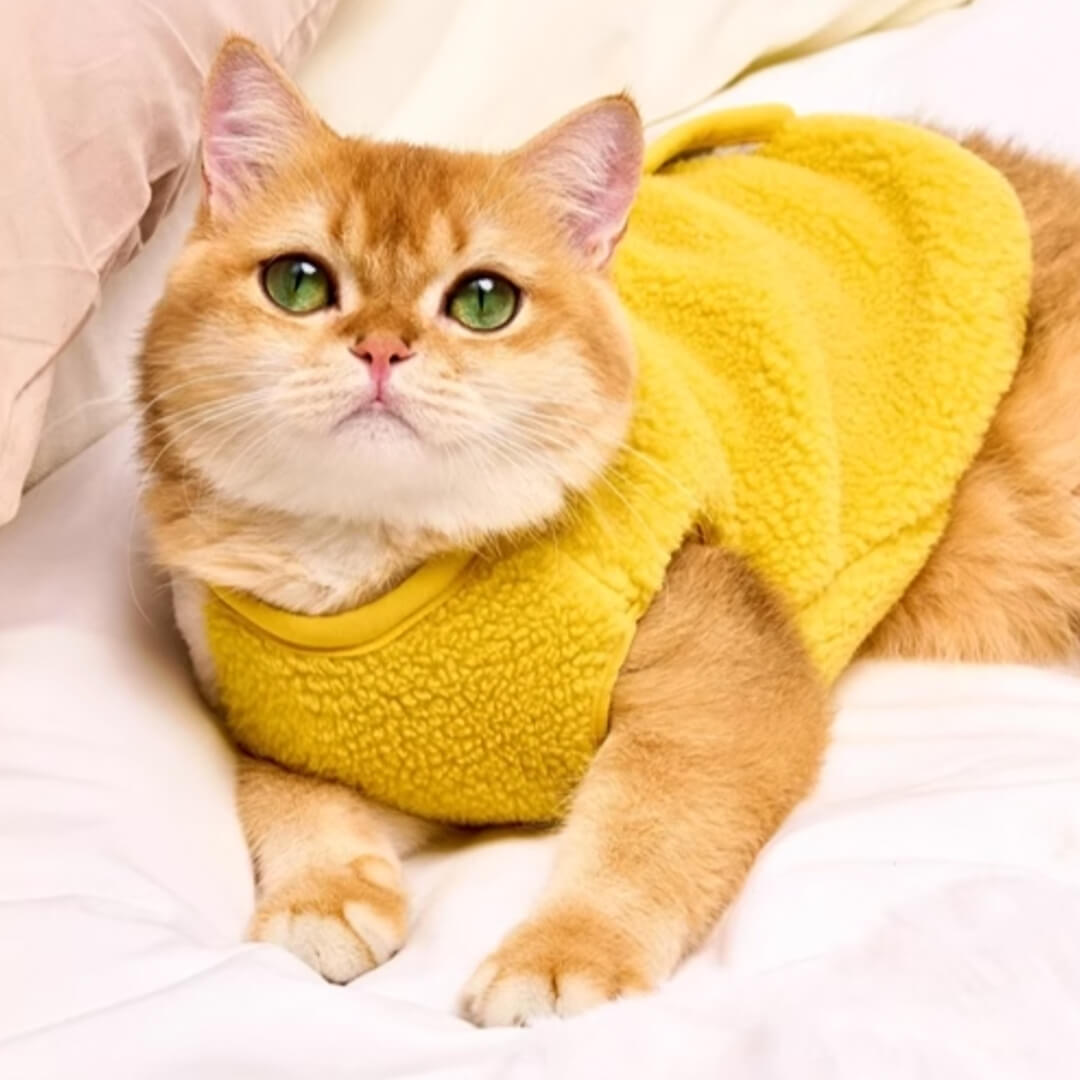 Meowster Cat Vest