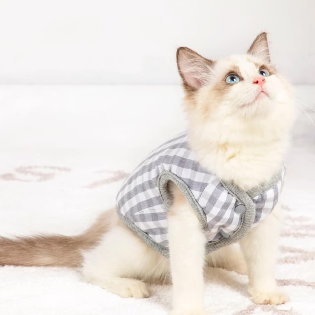 Missy Cat Jacket