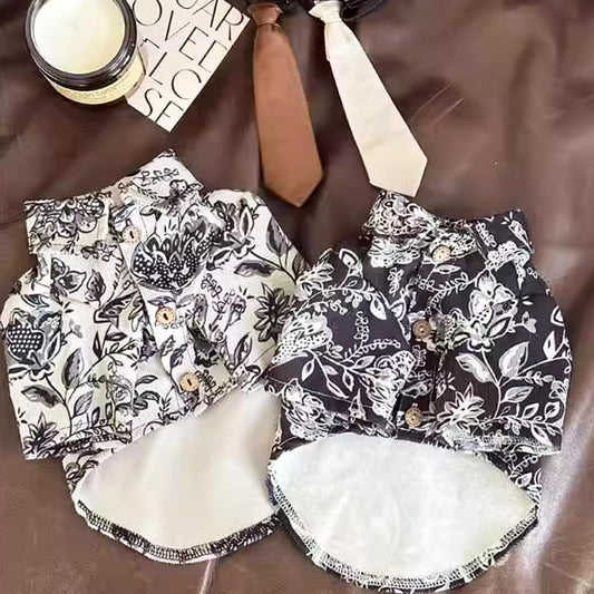 Napili Cat Shirt & Tie Set