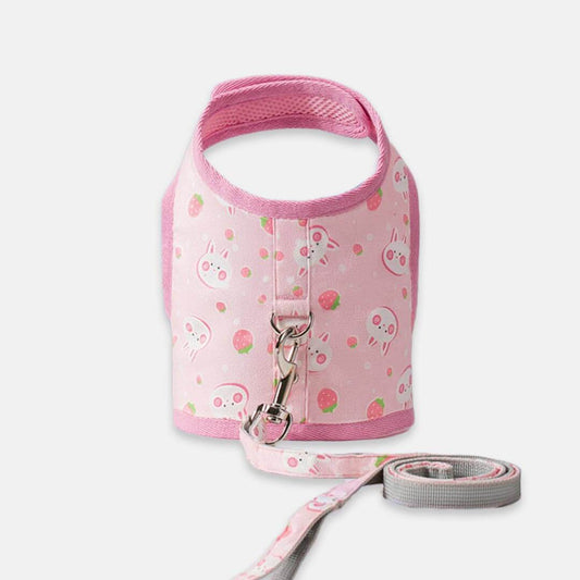 Nova Cat Harness & Leash Set