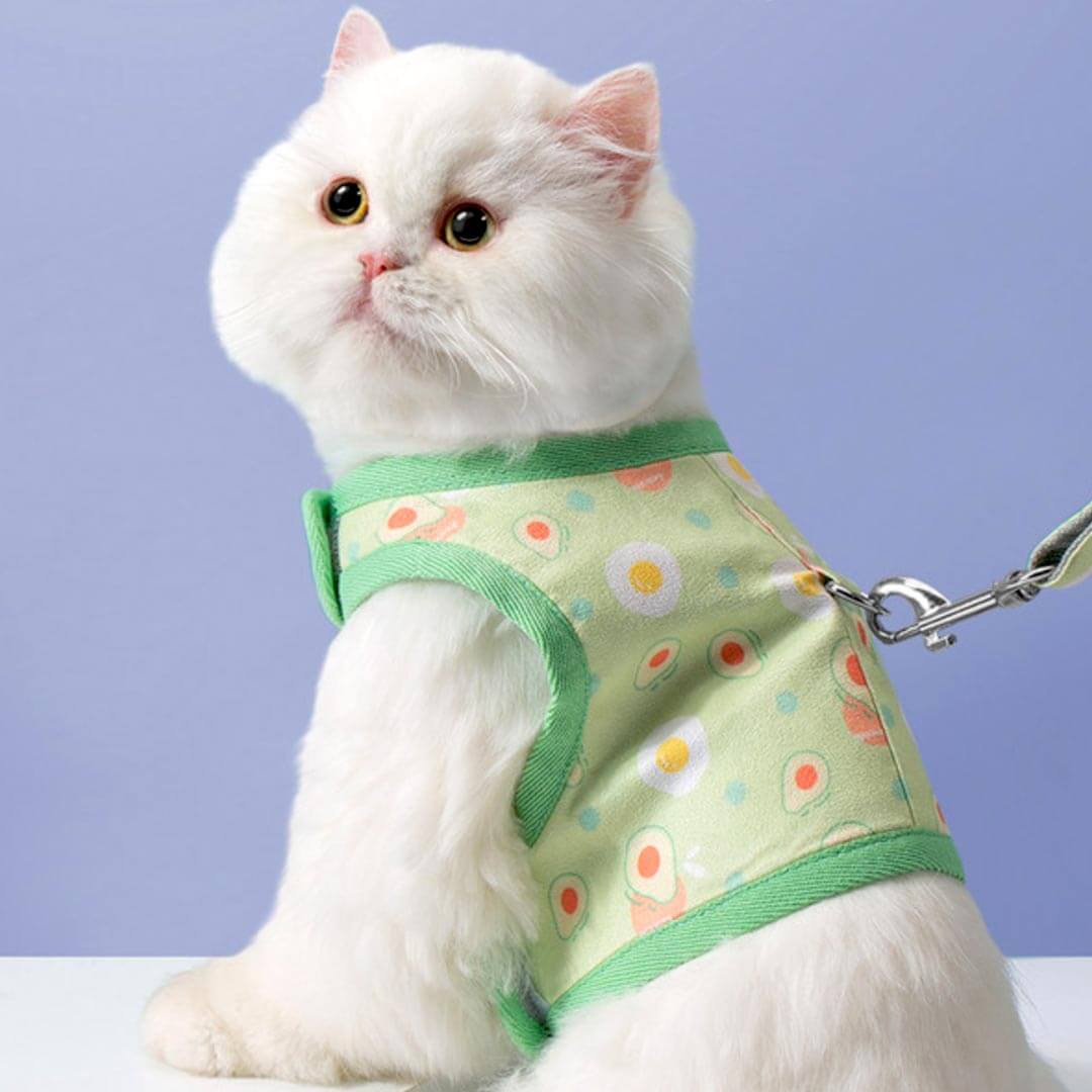 Nova Cat Harness & Leash Set