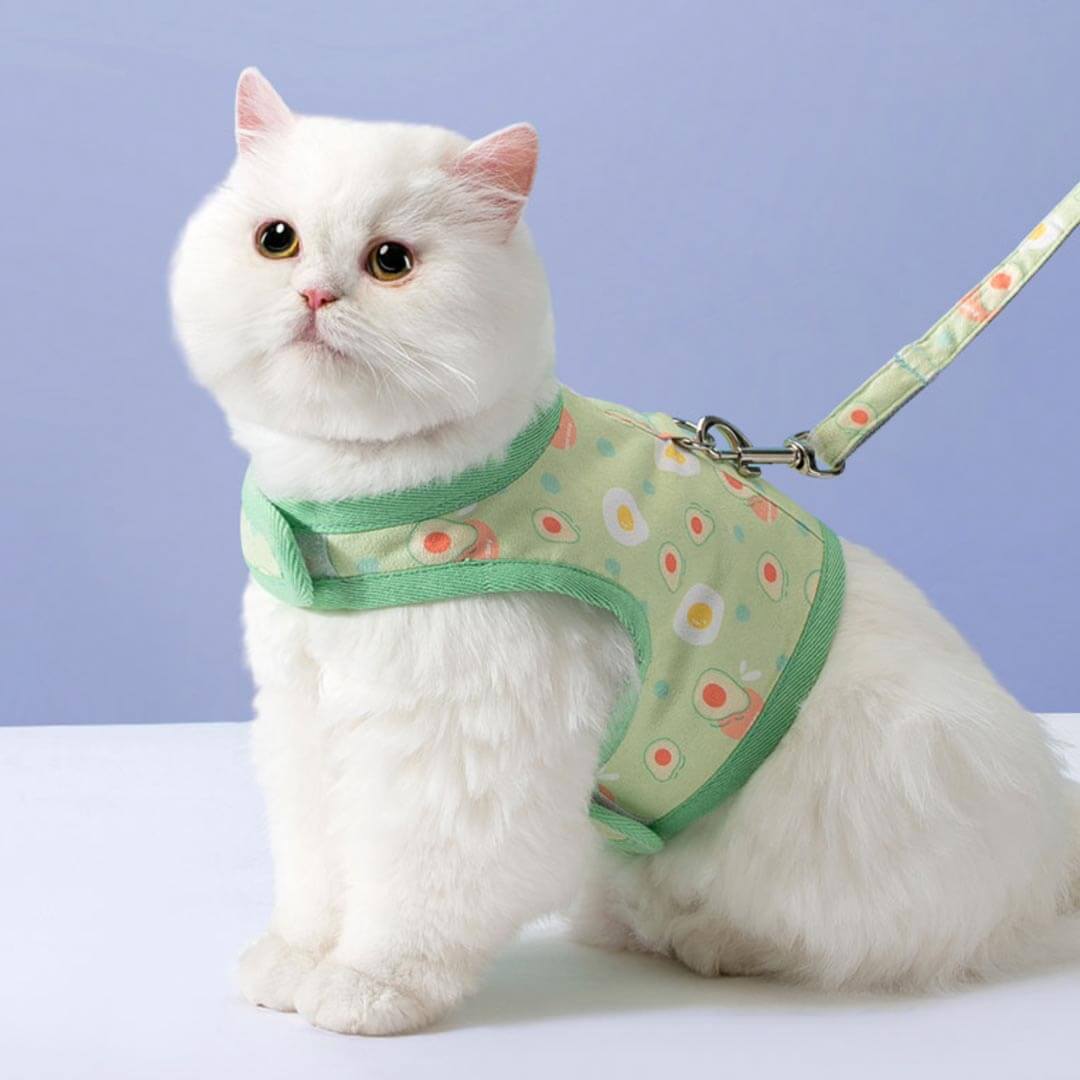 Nova Cat Harness & Leash Set