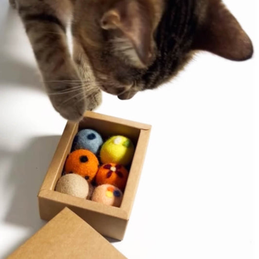 Nutty Veggie Cat Ball Toys - Set of 6