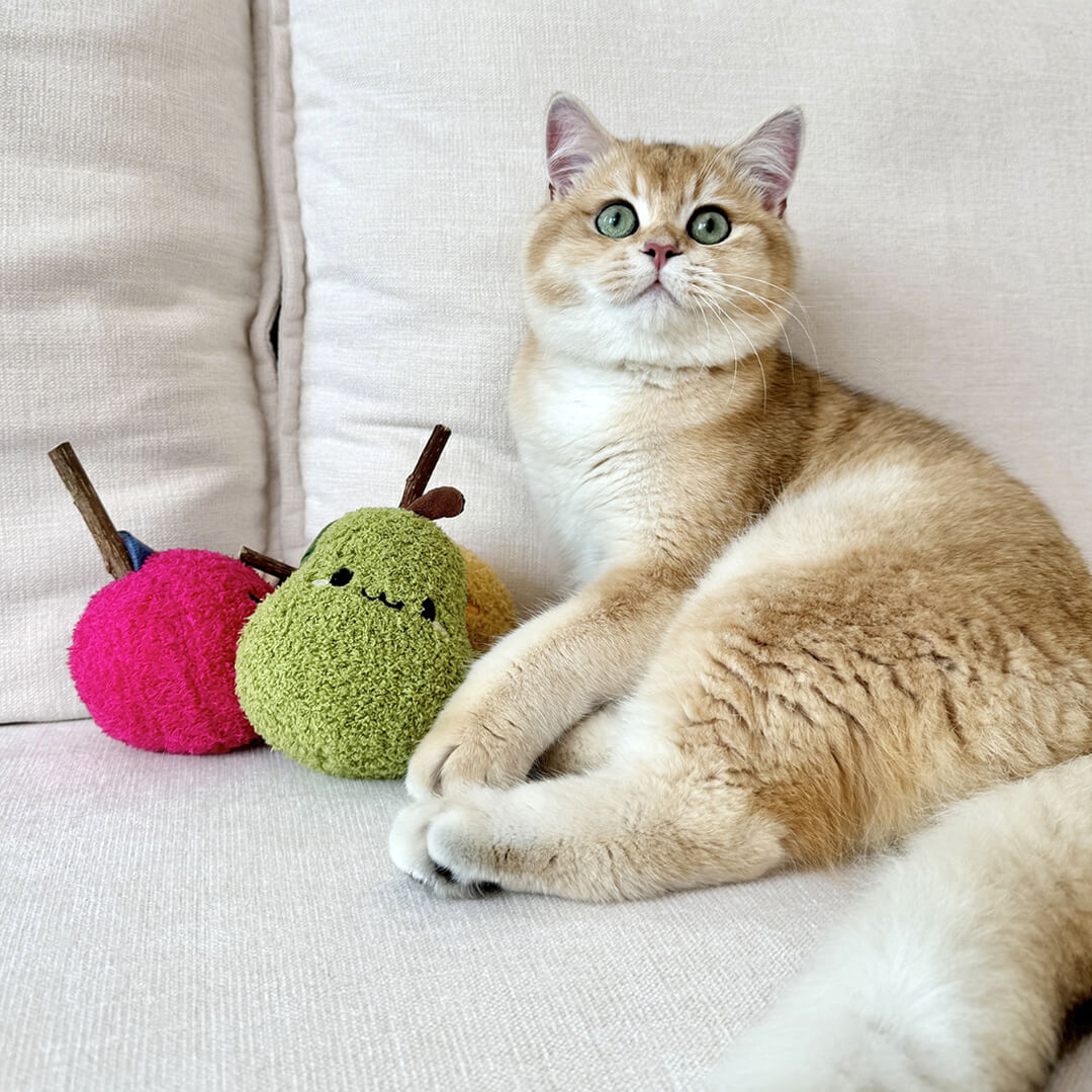 Pear Silvervine Cat Chew Toy