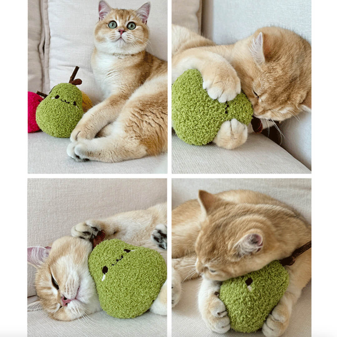 Pear Silvervine Cat Chew Toy