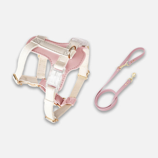 Phoenix Cat Harness & Leash Set