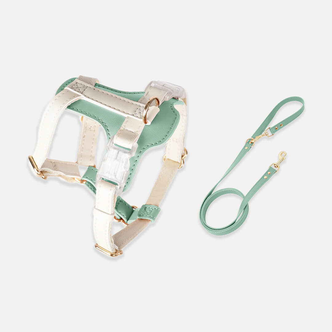 Phoenix Cat Harness & Leash Set