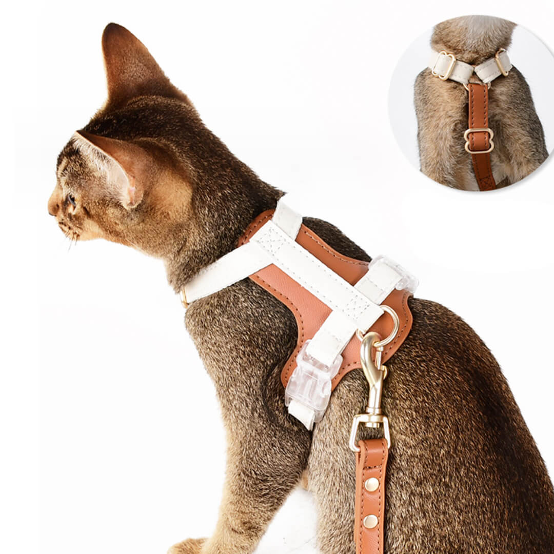 Phoenix Cat Harness & Leash Set
