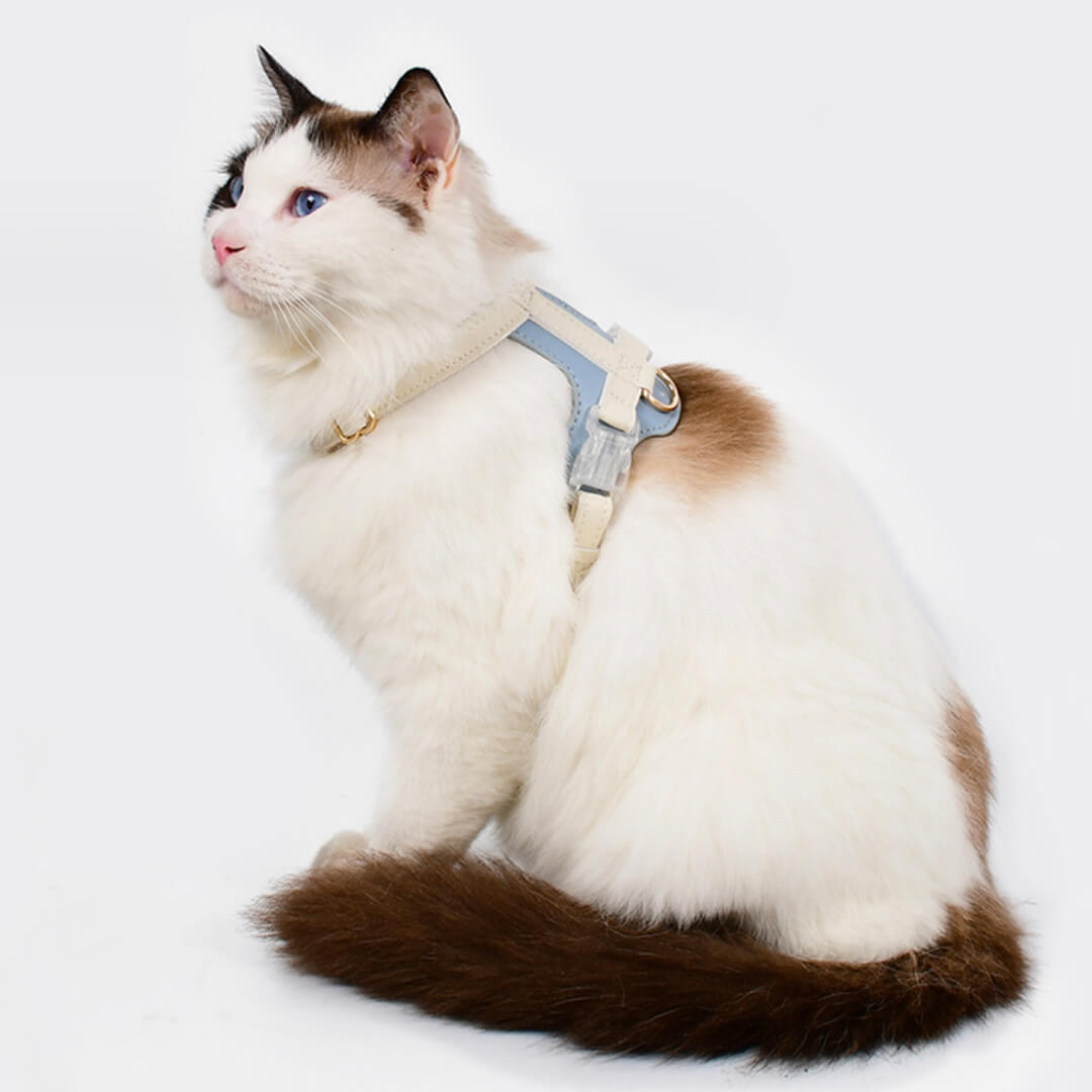 Phoenix Cat Harness & Leash Set