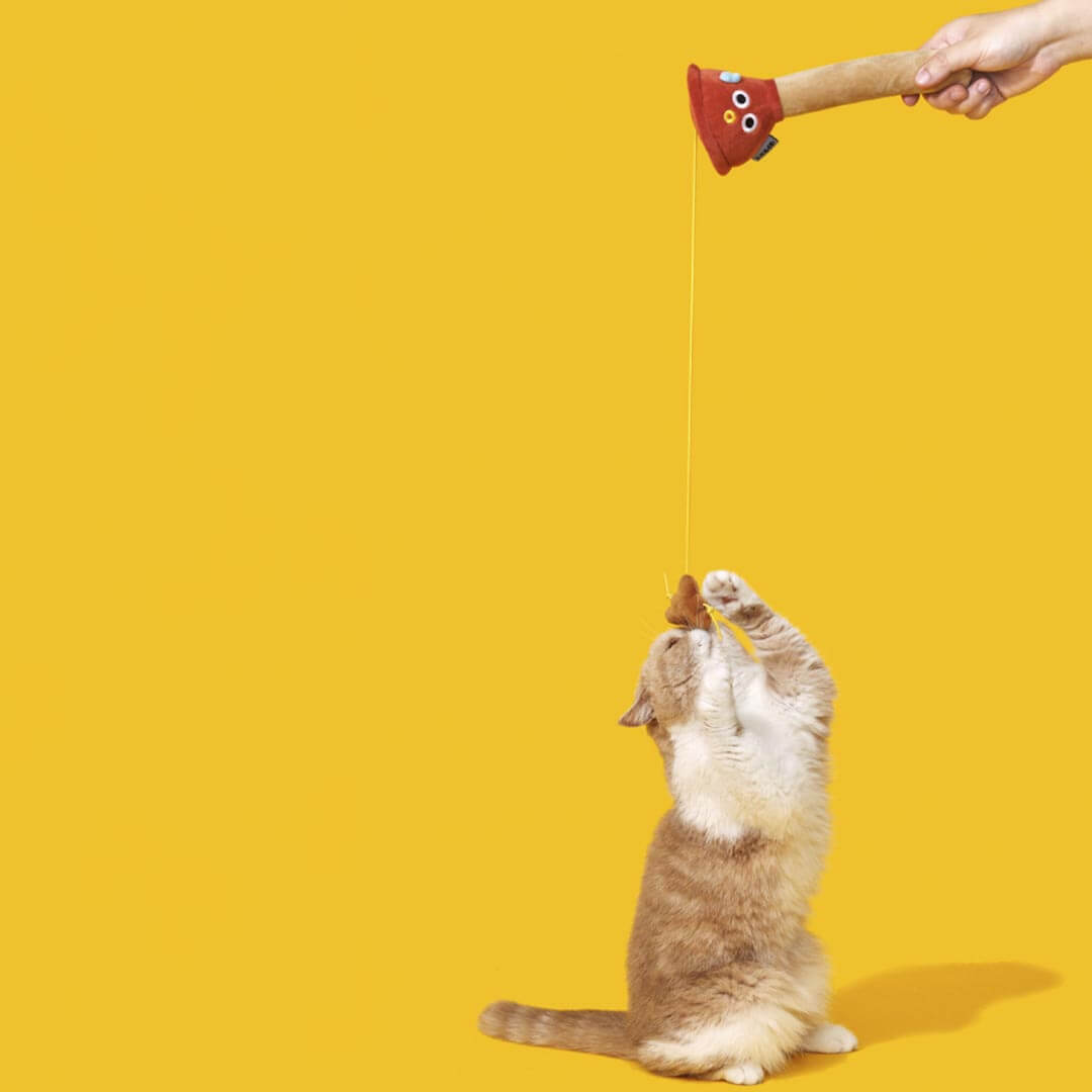 Plunging Poo Cat Teaser