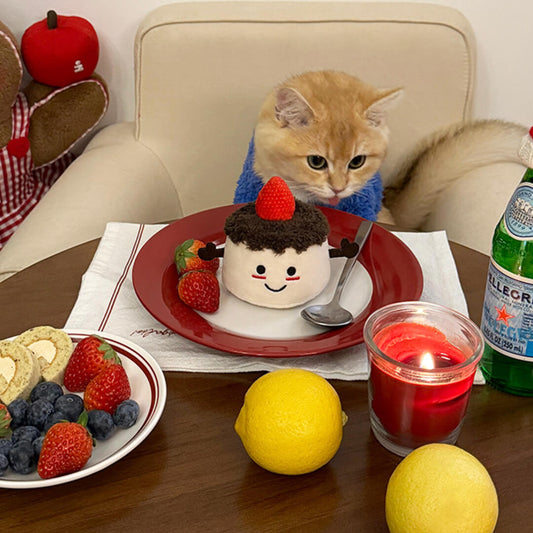 Strawberry Cake Catnip Toy with Squeaker