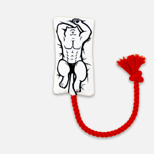 Power Paws Chew & Tug Pillow Toy