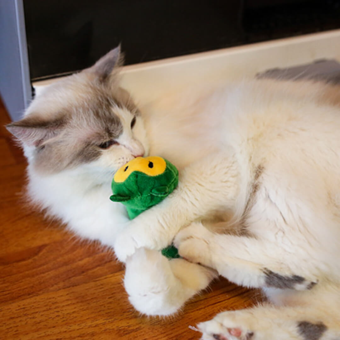 Qmonster Garden Furriends Cat Teaser Wand
