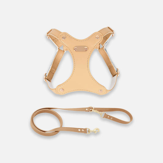 Rio Cat Harness & Leash Set