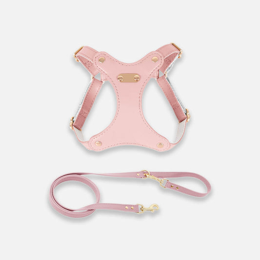 Rio Cat Harness & Leash Set