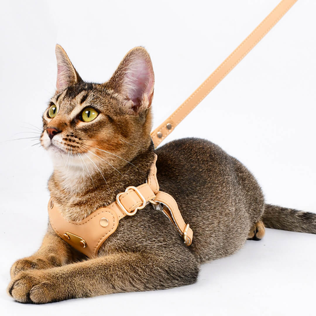 Rio Cat Harness & Leash Set