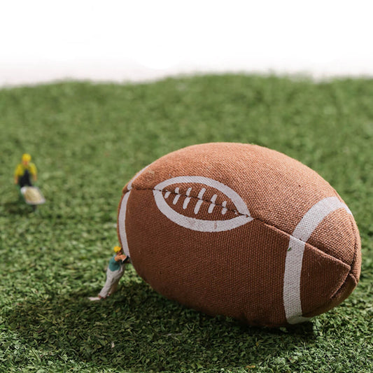 Rugby Catnip Toy