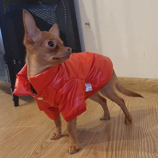 Waterproof jacket