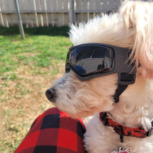 Sunglasses with UV protection
