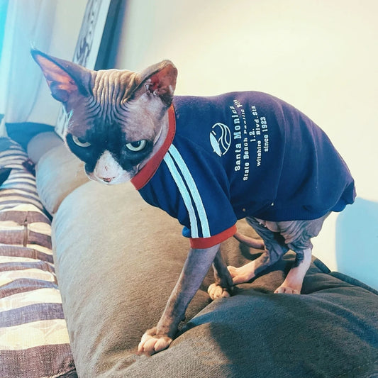Fashion Cotton T-shirt for Cat Spring Janpanese Style Blue Long Sleeves Letters Sweatshirt For Sphinx Cat Devon Rex Jumpsuit