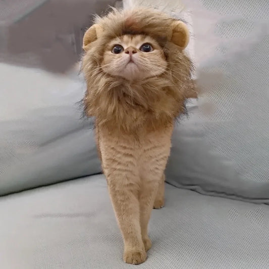 Lion/habbit hat