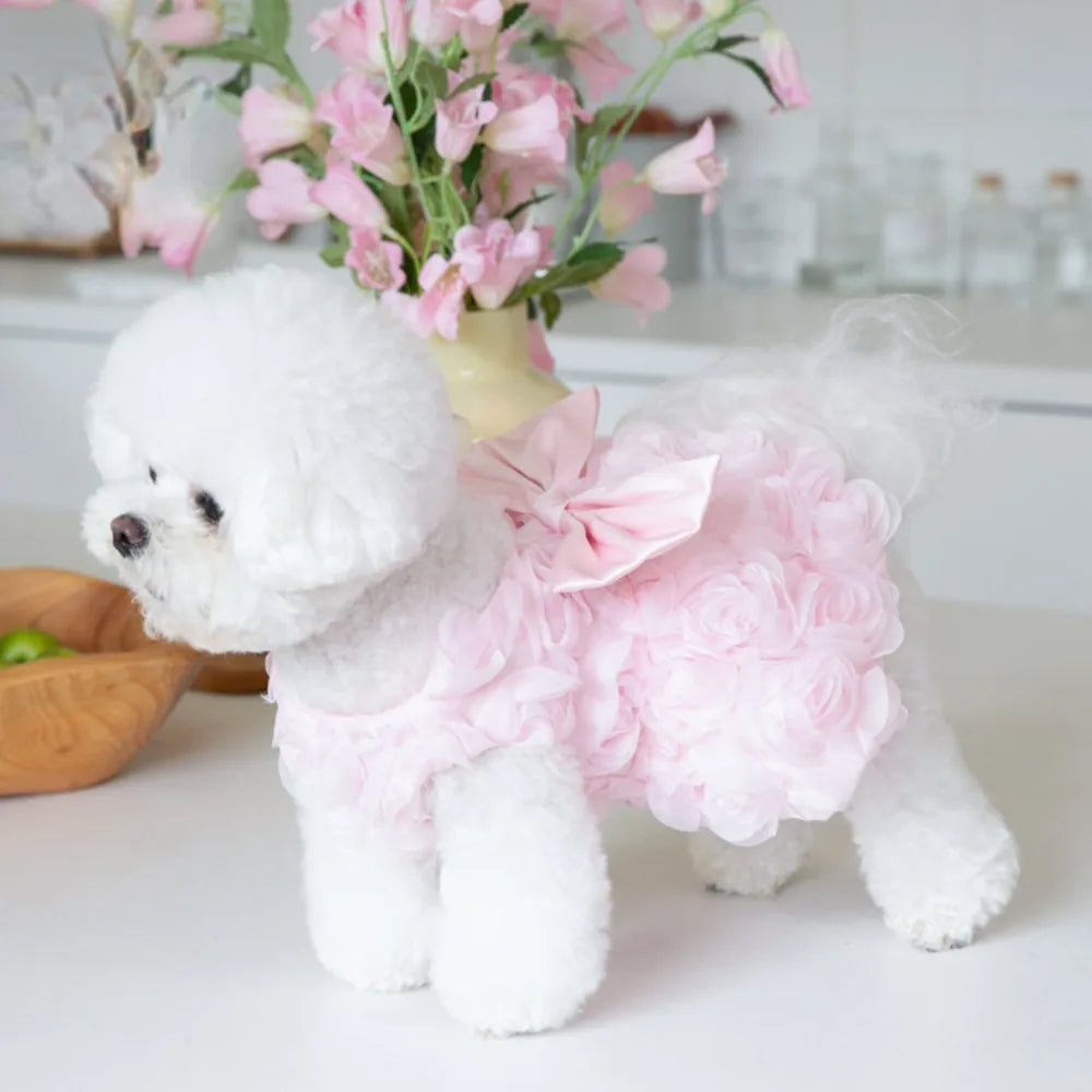 Spring/Summer Dress