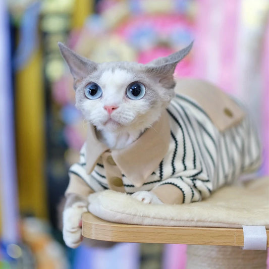 Fashion Striped Polo Shirt with Hat Suit for Sphynx Cat Spring Soft Sweatshirt for Devon Hairless Cat Autumn Costumes